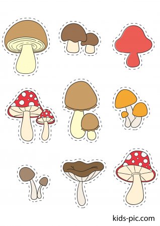 картинка Трафарет Грибы учколлектор чебоксары