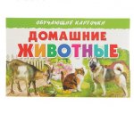 Обучающие карточки Домашние животные