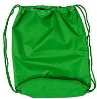 картинка Сумка для сменной обуви, зелёная  учколлектор чебоксары