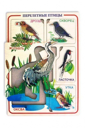 картинка Рамка вкладыш Птицы перелетные Оксва  учколлектор чебоксары