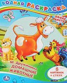 Большая водная раскраска в ассортименте