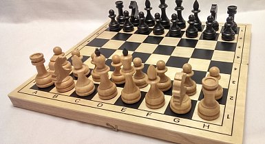 Купи шахматы и получи в подарок шашки