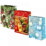 Пакет подароч 12х15х6см 