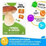 Обучающие карточки по методике Глена Домана "Грибы и орехи"