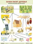 Плакат развив. по экологии Зачем пилят деревья Мозаика