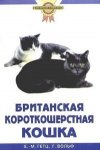 Британская кроткошерстная кошка 2010