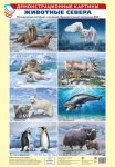 Дем.картины А-3 Животные Севера 8 плакатов