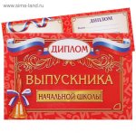 Диплом 4208370 выпускника Н/Ш  (Сима-ленд)