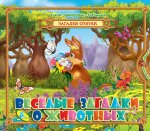 Загадки - прятки