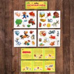 Магнитный набор Ферма в/п