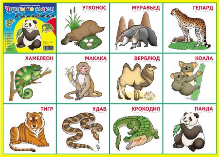 картинка ЧПС В мире животных учколлектор чебоксары