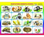 Плакат А-2 Обитатели живого уголка