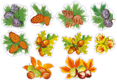 картинка Комплект украшений Дары леса на скотче учколлектор чебоксары