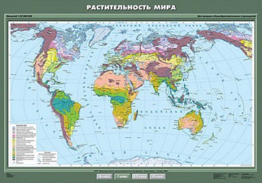 картинка Растительность мира (100х140 см) Спектр-М учколлектор чебоксары