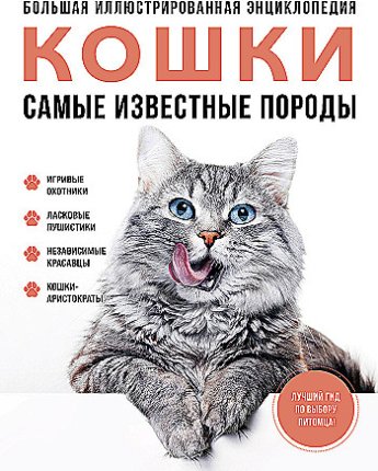 картинка Кошки Самые известные породы учколлектор чебоксары