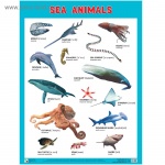 Плакат  Англ. SEA  ANIMALS.Морские обитатели.