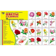 картинка Плакат А2  Цветы садовые  учколлектор чебоксары