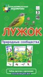Набор карточек Окружающий мир Природные сообщества Лужок Айрис