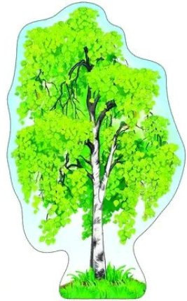 картинка Плакат вырубной А-3 Береза летняя учколлектор чебоксары