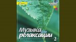 Музыка для релаксации Тропический лес CD (Диски