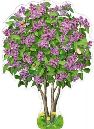 картинка Плакат вырубной А-3 Сирень весенняя  учколлектор чебоксары