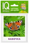 Умный малыш. Насекомые  Набор карт.