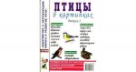Птицы в картинках вып.3 (Нагл.пособие) "Гном" 