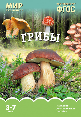 картинка Мир в картинках А-4 Грибы учколлектор чебоксары