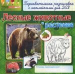 Познавательная разрисовка с наклейками для ДОУ Лесные животные и растения