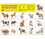 Плакат А2 Домашние животные