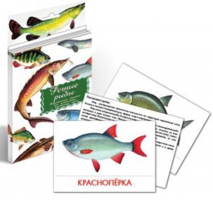 картинка Дидактические карточки  Речные рыбы  (Гений) учколлектор чебоксары