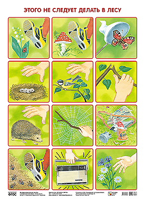 картинка Плакат развив. по экологии Не следует делать в лесу Мозаика учколлектор чебоксары