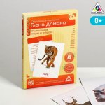 Обучающие карточки по мет Домана Животные жарких стран в/к 