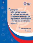 Примерная адаптированная основная программа для обучающихся с умственной отсталостью 1 кл В1,1 доп