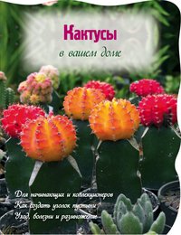 картинка Волкова Кактусы в вашем доме учколлектор чебоксары