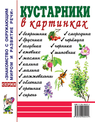 картинка Наглядное пособие Кустарники в картинках учколлектор чебоксары