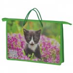 Папка А-4 Котенок на природе