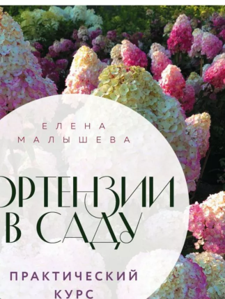 картинка Малышева Гортензии в саду Практический курс учколлектор чебоксары