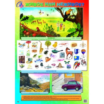 картинка Плакат  Живое и неживое (Гений) учколлектор чебоксары