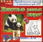 Познавательная разрисовка с наклейками для ДОУ Животные разных широт