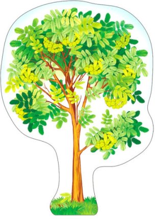 картинка Плакат вырубной А-3 Рябина летняя учколлектор чебоксары
