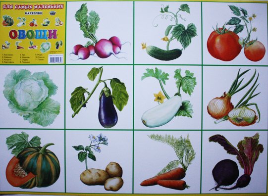 картинка Разв карт Овощи учколлектор чебоксары