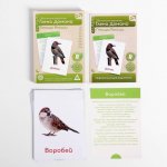 Обучающие карточки по мет Домана Птицы России в/к 