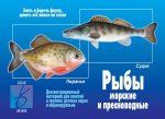 Игра Рыбы морские и пресноводные