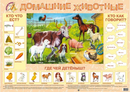 картинка Плакат  Домаш. животные (Гений) учколлектор чебоксары