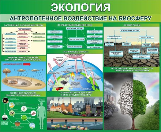 картинка Плакат  Основные типы экосистем. Антропогенные эко учколлектор чебоксары