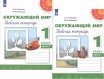 Плешаков АА Новицкая МЮ  1 кл рабочая тетрадь 1,2 ч  Окружающий мир Перспектива 2018г. НЧК