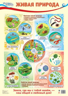 картинка Плакат А-2 Сфера Живая природа  учколлектор чебоксары