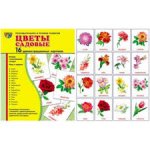 Плакат А2  Цветы садовые 