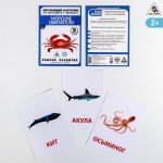 Обучающие карточки по мет Домана Морские обитатели в/п